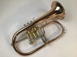 Dillon Flugelhorn 11 Dillon Flugelhorn -musical instrument BTKA 16025041195692382 ce7de21a4c7925e402e9afbd331646 41562.1602504124
