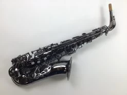 Demo Eastman EAS640-BB Eb Alto Saxophone (SN: 11537157)