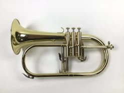 Demo Eastman EFG412 Bb Student Flugelhorn (SN: F2203438)