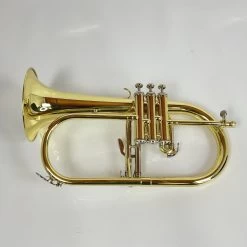Demo Eastman EFG412 Bb Flugelhorn (SN: F2000625) -musical instrument BTKA 16927936536444495 27fda40f6c1454212a125c8cc49005 29351.1692793823
