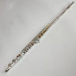 Demo Eastman EFL210 Flute [32433]