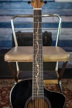 Washburn Bella Tono Studio 9 Charcoal Spruce Top Vine Inlay AC/EL -musical instrument BTS9VCECHD inlay