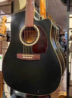 USED Art & Lutherie CW Cedar BLK Acoustic Guitar Matte Black