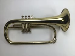 Used Selmer Paris Bb Flugelhorn (SN: 1250) 6 Used Selmer Paris Bb Flugelhorn (SN: 1250) -musical instrument eozwan9jf0qieucarajx 89067.1653516897
