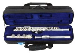 Reunion Blues RBX Flute Case -musical instrument i9pjs4xgmqgvjouae4lp 53769.1598593157