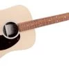 Martin DX2E Rosewood X-Series Dreadnought W/Pickup And Gig Bag