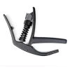 Planet Waves NS Artist Capo