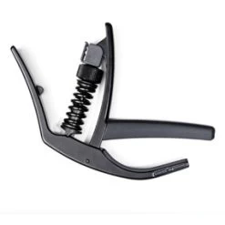 Planet Waves NS Artist Capo