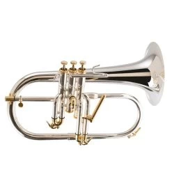 Ray Farr Flugel Signature Flugelhorn, Silver Plate With Gold Highlights.