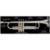 Stomvi S1 Bb Trumpet